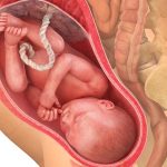 34weeks980