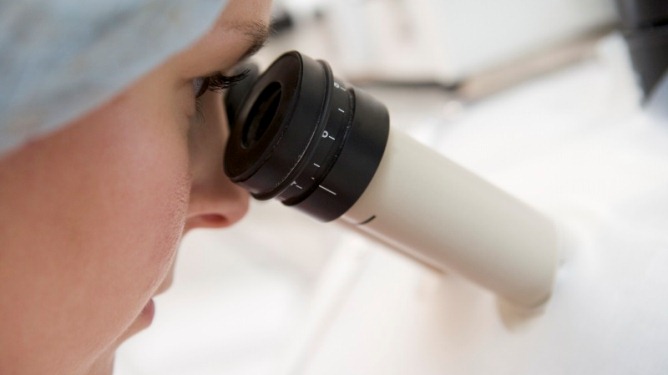 Embryologist adding sperm to eggs in laboratory