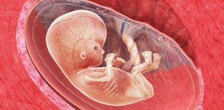 11 uker gravid