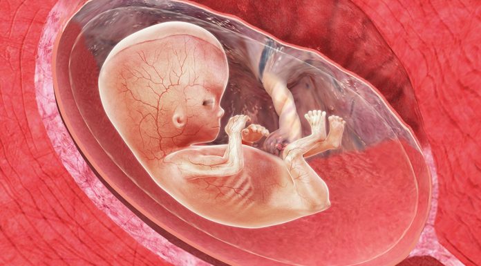 11 uker gravid