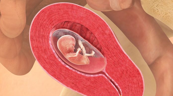 12 uker gravid
