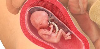 18 uker gravid