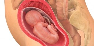 23 uker gravid foster