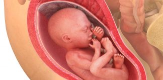 25 uker gravid
