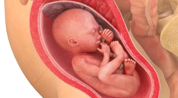 25 uker gravid
