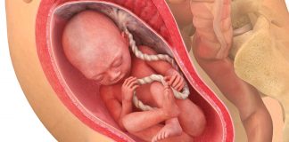 27 uker gravid