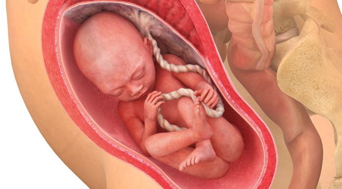 27 uker gravid