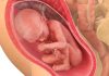 28 uker gravid