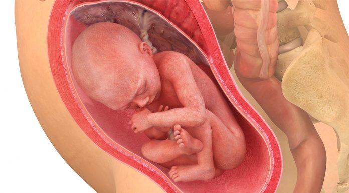 28 uker gravid