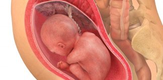 29 uker gravid