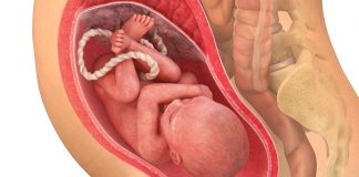30 uker gravid