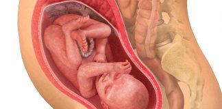 31 uker gravid