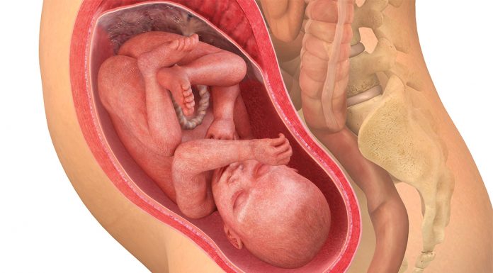 31 uker gravid