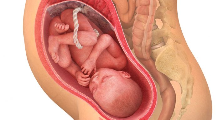 33 uker gravid