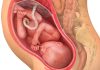 34 uker gravid