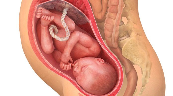 34 uker gravid