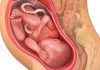 35 uker gravid