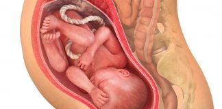 35 uker gravid