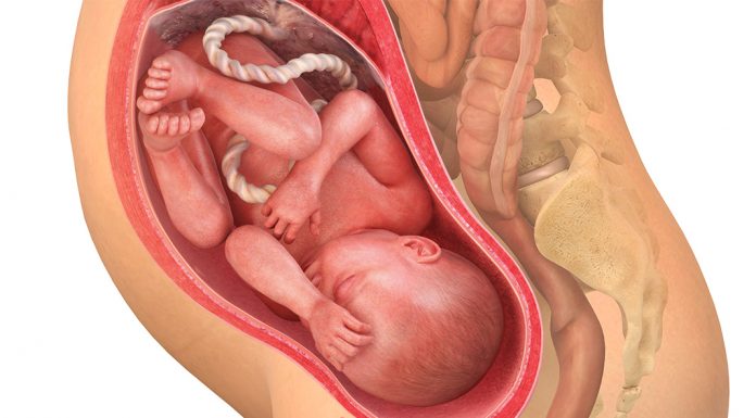 35 uker gravid