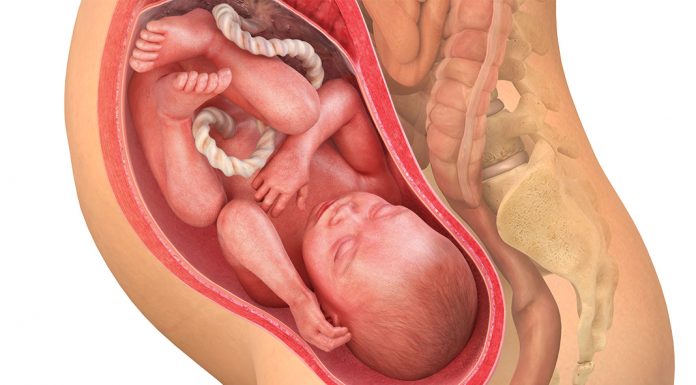 36 uker gravid