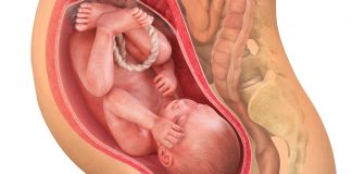 37 uker gravid