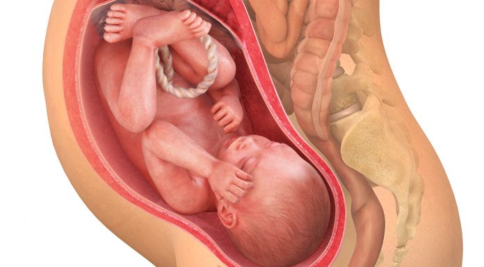 37 uker gravid