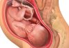 38 uker gravid