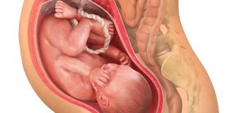 38 uker gravid