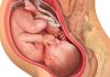 39 uker gravid