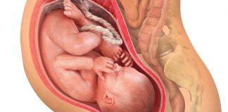 39 uker gravid