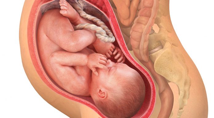 39 uker gravid