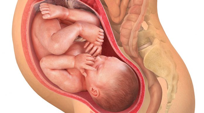40 uker gravid