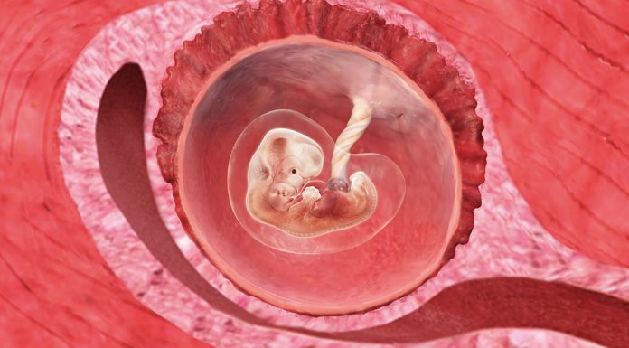 8 uker gravid