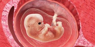 9 uker gravid