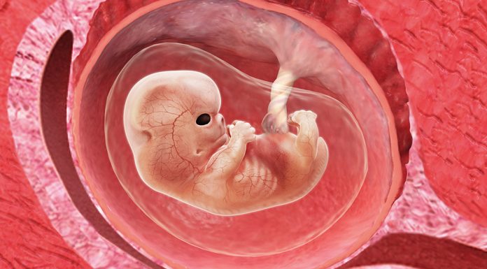 9 uker gravid