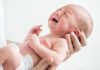 roe babyen