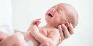 roe babyen