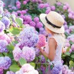little-girl-is-in-bushes-of-hydrangea-flowers-in-sunset-garden-picture-id1070844516