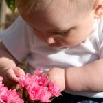 barn giftige blomster