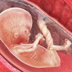 ufodtbaby-2-1