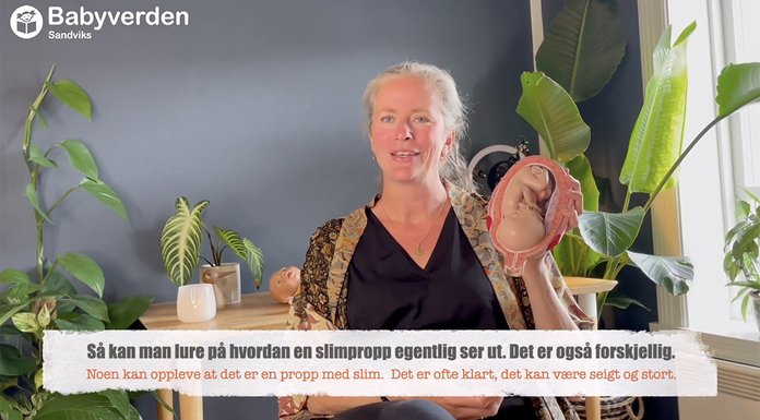 Greit å vite om slimproppen