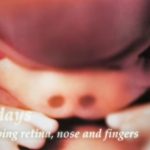 fra_unnfangelse_fodsel980-5