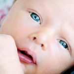 sander980x549-1-1