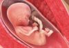stor er babyen i magen