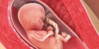 stor er babyen i magen