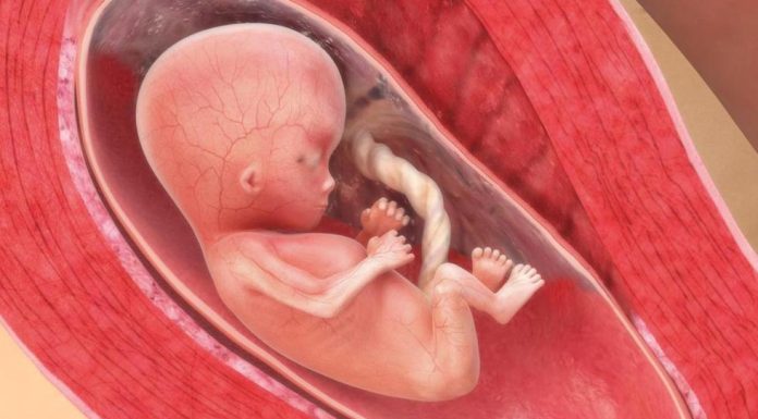 stor er babyen i magen