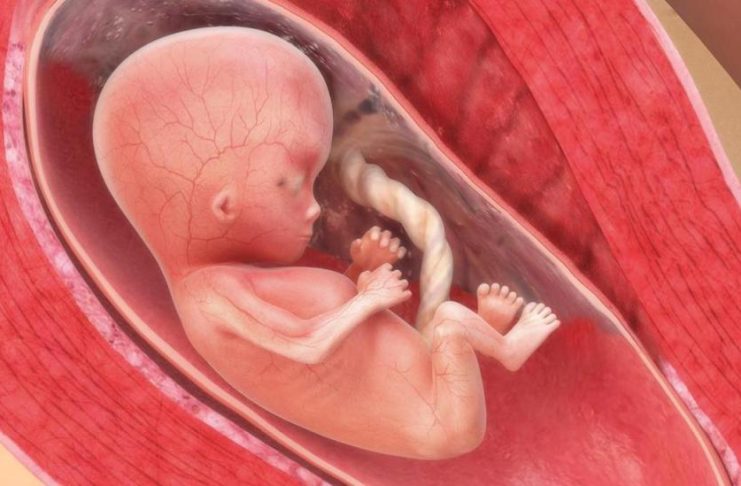 stor er babyen i magen