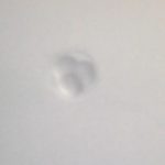 0cd088d061104a629f2094787e3ce560-2