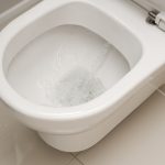 flushing toilet