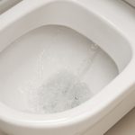 flushing toilet